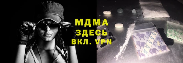 прущие грибы Верхний Тагил