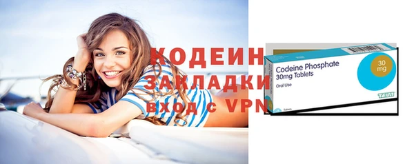 прущие грибы Верхний Тагил