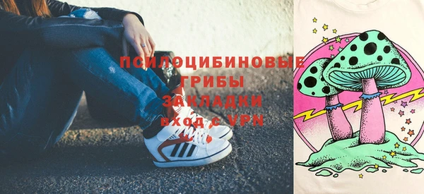 прущие грибы Верхний Тагил