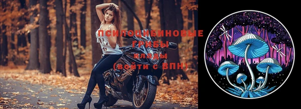 спиды Володарск