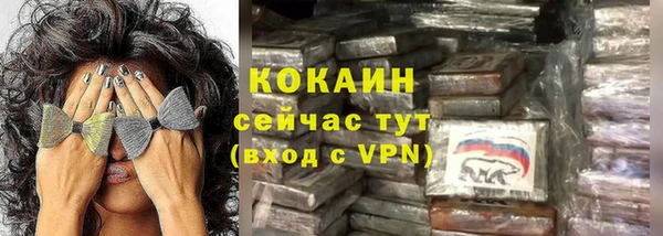 прущие грибы Верхний Тагил