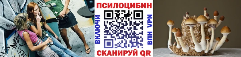 купить Волхов Псилоцибиновые грибы ЛСД